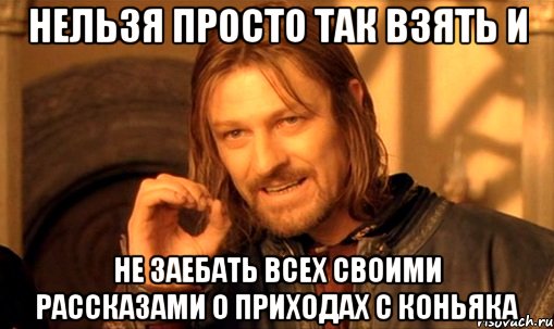 нельзя просто так взять и не заебать всех своими рассказами о приходах с коньяка, Мем Нельзя просто так взять и (Боромир мем)