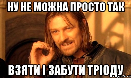 Ну не можна просто так взяти і забути Тріоду, Мем Нельзя просто так взять и (Боромир мем)
