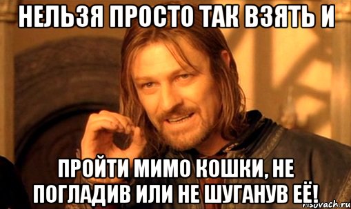 Нельзя просто так взять и пройти мимо кошки, не погладив или не шуганув её!, Мем Нельзя просто так взять и (Боромир мем)