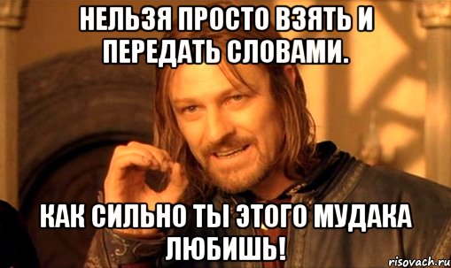 Нельзя просто взять и передать словами. Как сильно ты этого мудака любишь!