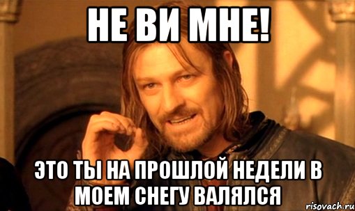 НЕ ВИ МНЕ! Это ты на прошлой недели в моем снегу валялся