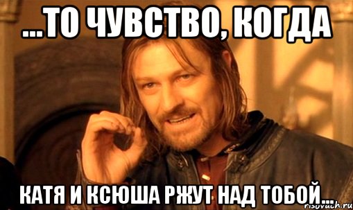 ...то чувство, когда катя и ксюша ржут над тобой..., Мем Нельзя просто так взять и (Боромир мем)