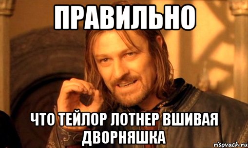 правильно что тейлор лотнер вшивая дворняшка, Мем Нельзя просто так взять и (Боромир мем)