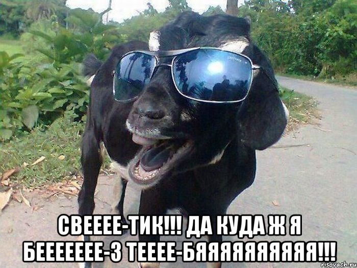  СВЕЕЕЕ-ТИК!!! ДА КУДА Ж Я БЕЕЕЕЕЕЕ-З ТЕЕЕЕ-БЯЯЯЯЯЯЯЯЯЯ!!!