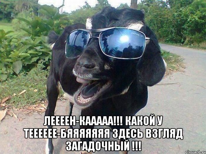  ЛЕЕЕЕН-КААААА!!! КАКОЙ У ТЕЕЕЕЕЕ-БЯЯЯЯЯЯЯ ЗДЕСЬ ВЗГЛЯД ЗАГАДОЧНЫЙ !!!