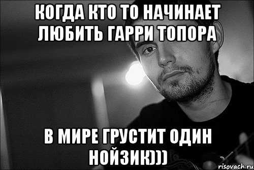 Когда кто то начинает любить Гарри топора В мире грустит один нойзик))), Мем Noize Mc