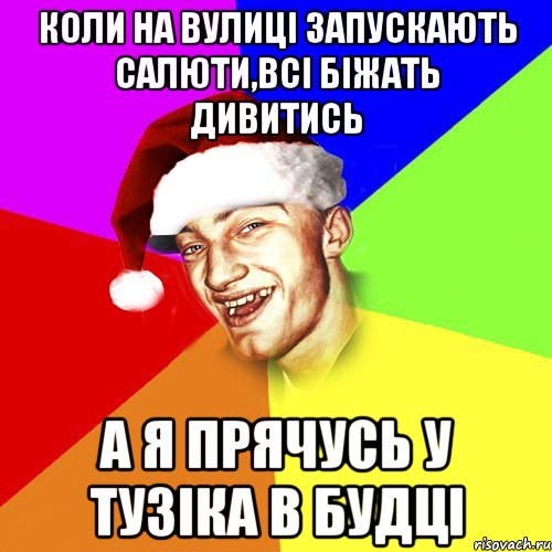 коли на вулиці запускають салюти,всі біжать дивитись а я прячусь у тузіка в будці, Мем Новогоднй Чоткий Едк