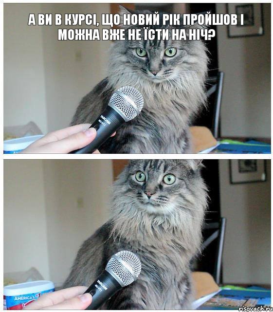 А ви в курсі, що новий рік пройшов і можна вже не їсти на ніч?, Комикс  кот с микрофоном