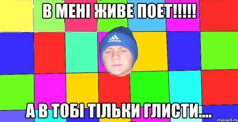 в мені живе поет!!!!! а в тобі тільки глисти....