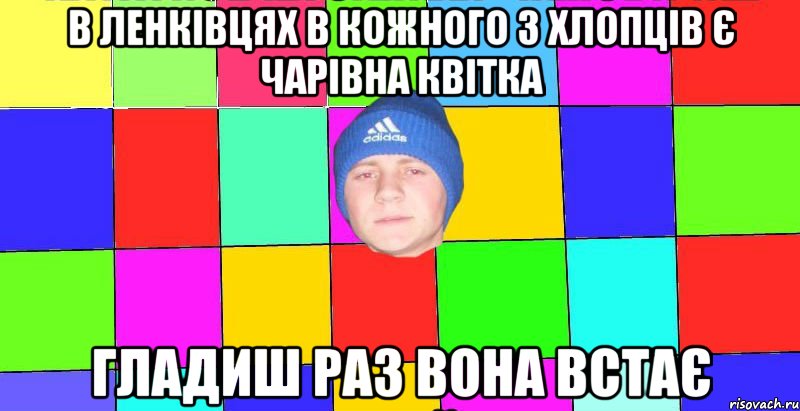 в ленківцях в кожного з хлопців є чарівна квітка гладиш раз вона встає