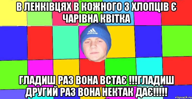 в ленківцях в кожного з хлопців є чарівна квітка гладиш раз вона встає !!!гладиш другий раз вона нектак дає!!!!!