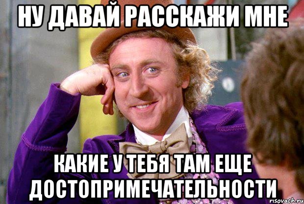 ну давай расскажи мне какие у тебя там еще достопримечательности, Мем Ну давай расскажи (Вилли Вонка)