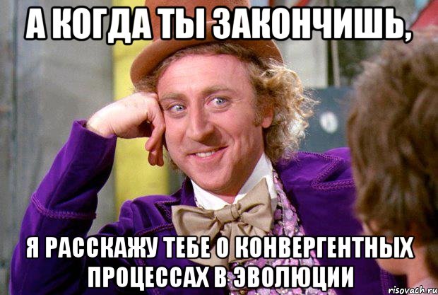 А когда ты закончишь, я расскажу тебе о конвергентных процессах в эволюции, Мем Ну давай расскажи (Вилли Вонка)