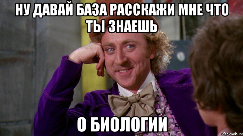 Ну давай База расскажи мне что ты знаешь О биологии, Мем Ну давай расскажи (Вилли Вонка)