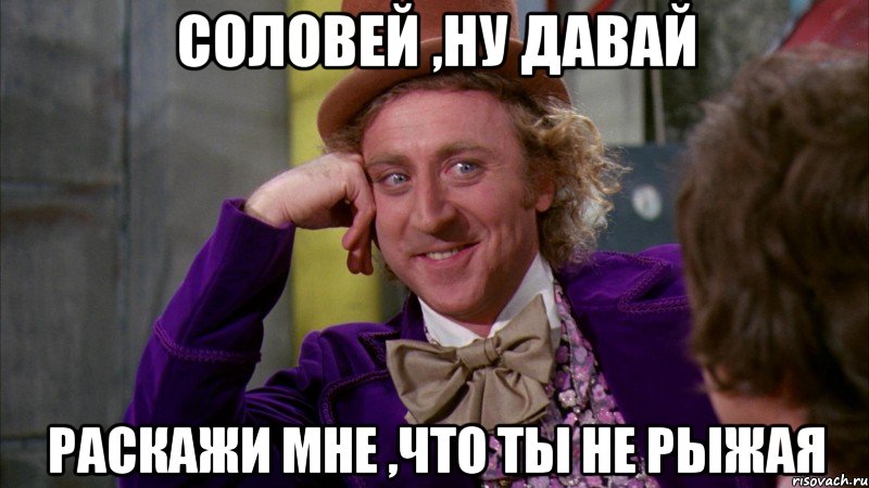 Соловей ,ну давай Раскажи мне ,что ты не рыжая, Мем Ну давай расскажи (Вилли Вонка)