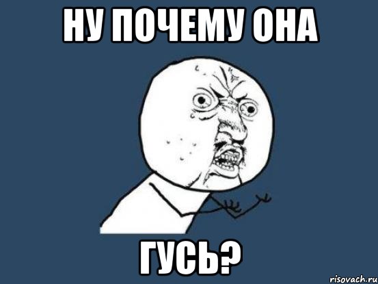 ну почему она ГУСЬ?, Мем Ну почему