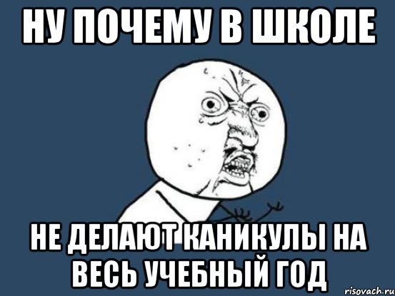 ну почему в школе не делают каникулы на весь учебный год, Мем Ну почему