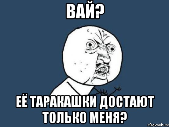 ВАЙ? Её таракашки достают только меня?, Мем Ну почему