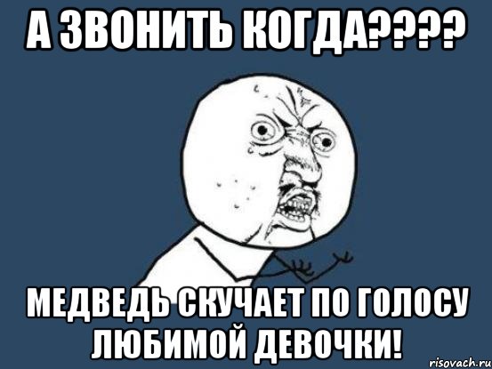 а звонить когда???? медведь скучает по голосу любимой девочки!, Мем Ну почему