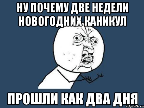 НУ ПОЧЕМУ ДВЕ НЕДЕЛИ НОВОГОДНИХ КАНИКУЛ ПРОШЛИ КАК ДВА ДНЯ, Мем Ну почему