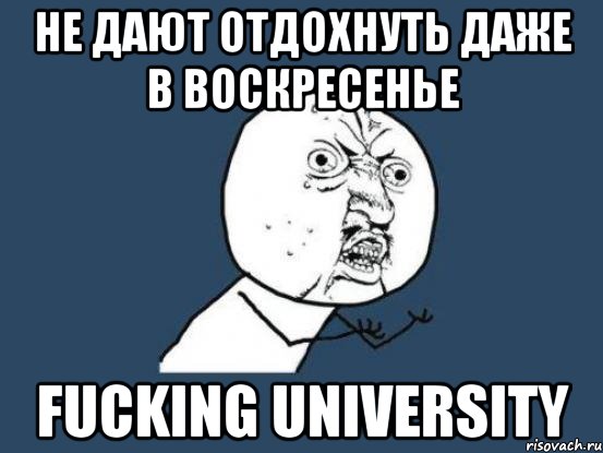 Не дают отдохнуть даже в воскресенье FUCKING University, Мем Ну почему