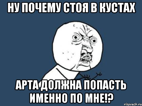 НУ почему стоя в кустах арта должна попасть именно по мне!?, Мем Ну почему