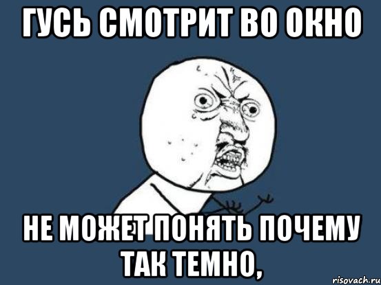 гусь смотрит во окно не может понять почему так темно,, Мем Ну почему