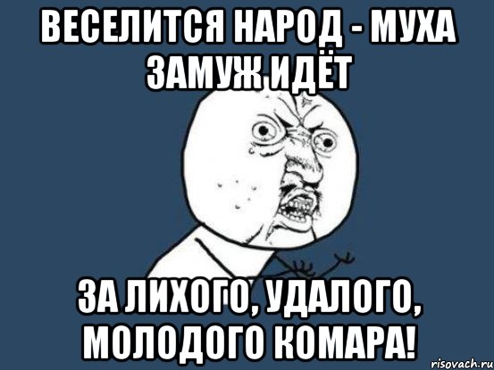 Веселится народ - Муха замуж идёт За лихого, удалого, Молодого Комара!, Мем Ну почему