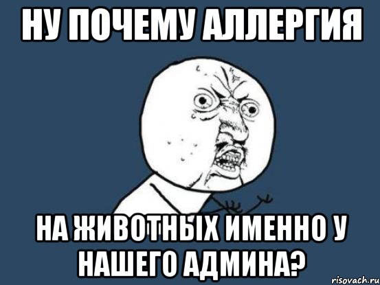 Ну почему аллергия На животных именно у нашего админа?, Мем Ну почему