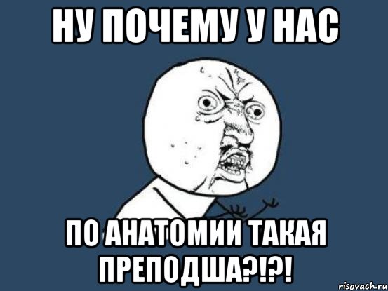 Ну почему у нас по анатомии такая преподша?!?!, Мем Ну почему