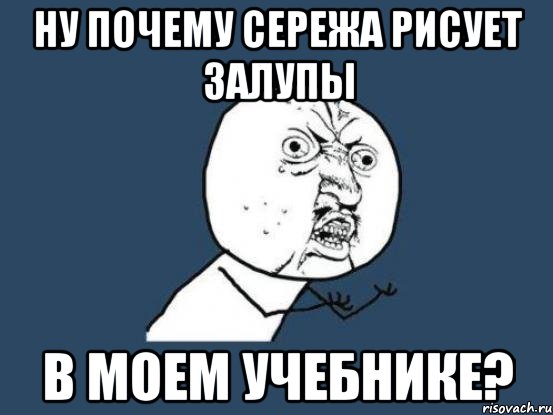 НУ ПОЧЕМУ СЕРЕЖА РИСУЕТ ЗАЛУПЫ В МОЕМ УЧЕБНИКЕ?, Мем Ну почему