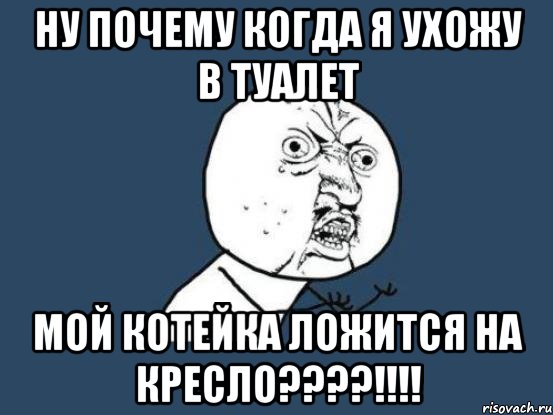 ну почему когда я ухожу в туалет мой котейка ложится на кресло????!!!!, Мем Ну почему