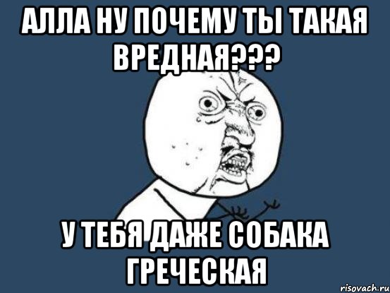 Алла ну почему ты такая вредная??? У тебя даже собака Греческая, Мем Ну почему