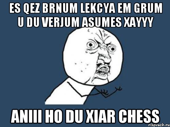 Es qez brnum lekcya em grum u du verjum asumes XAYYY Aniii ho du xiar chess, Мем Ну почему