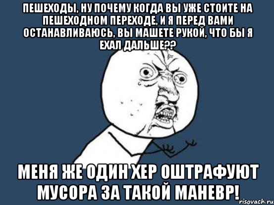 Пешеходы, ну почему когда вы уже стоите на пешеходном переходе, и я перед вами останавливаюсь, вы машете рукой, что бы я ехал дальше?? Меня же один хер оштрафуют мусора за такой маневр!, Мем Ну почему