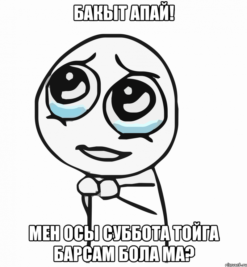 Бакыт апай! Мен осы суббота тойга барсам бола ма?, Мем  ну пожалуйста (please)