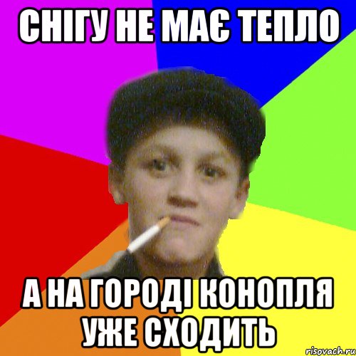 снігу не має тепло а на городі конопля уже сходить, Мем о