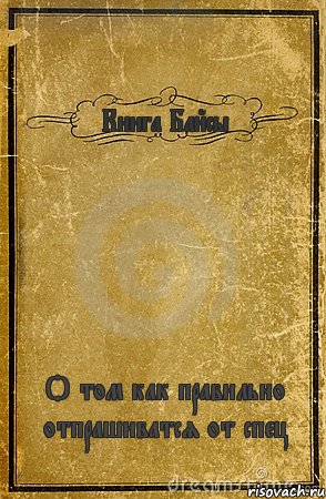 Книга Байсы О том как правильно отпрашиватся от спец, Комикс обложка книги