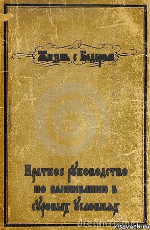 Жизнь с Бедером Краткое руководство по выживанию в суровых условиях, Комикс обложка книги