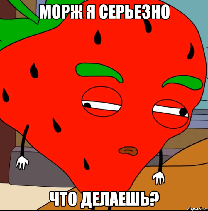 Морж я серьезно что делаешь?