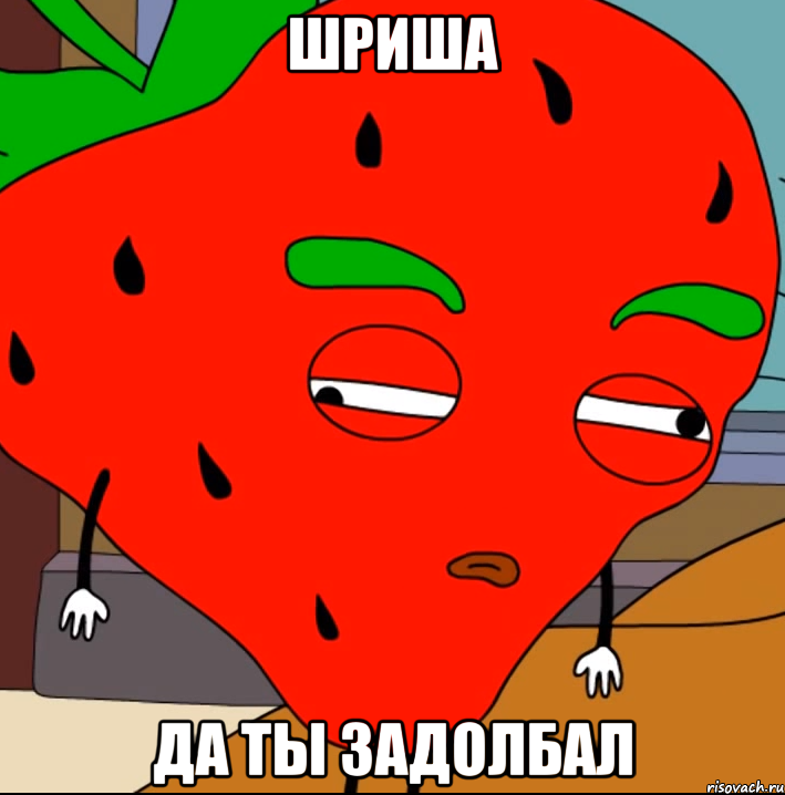 шриша да ты задолбал