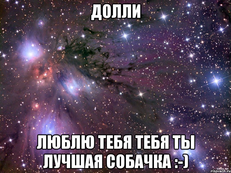 Долли Люблю тебя тебя ты лучшая собачка :-), Мем Космос