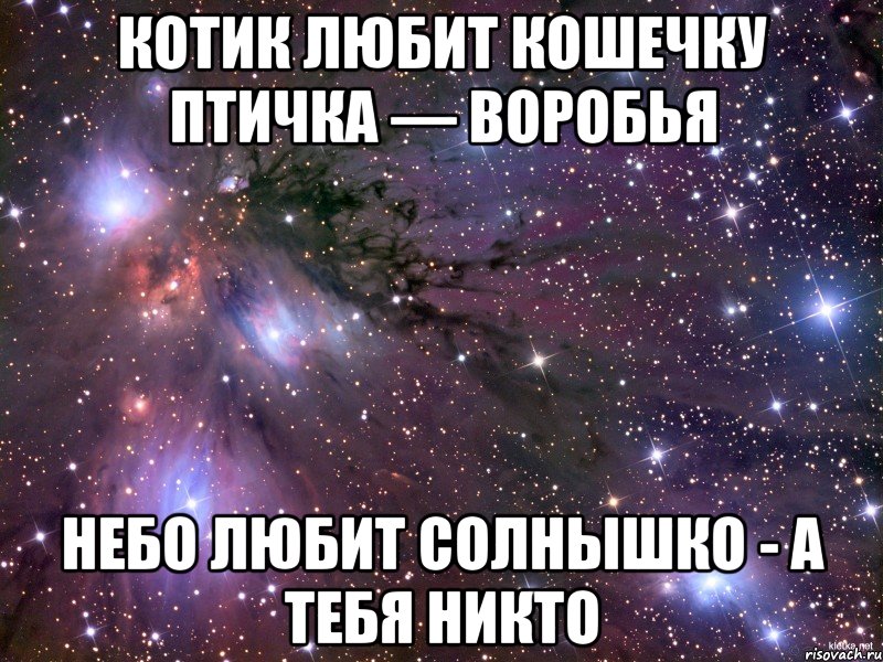 котик любит кошечку птичка — воробья небо любит солнышко - а тебя никто, Мем Космос