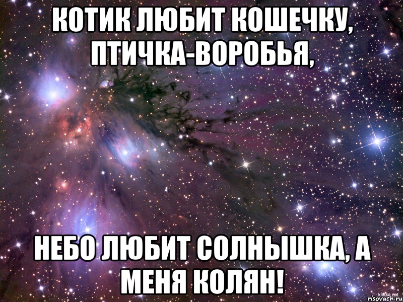 Котик любит кошечку, Птичка-воробья, небо любит солнышка, а меня Колян!