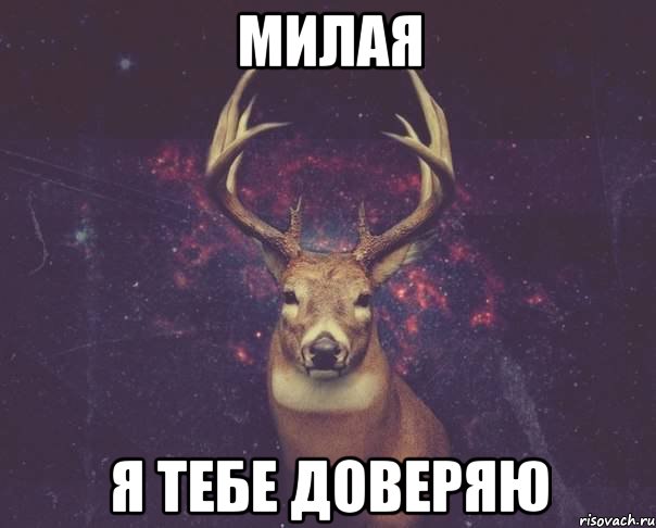 Милая я тебе доверяю