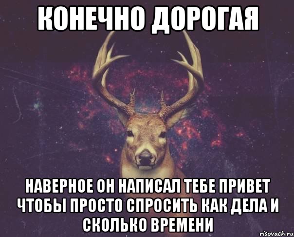 КОНЕЧНО ДОРОГАЯ НАВЕРНОЕ ОН НАПИСАЛ ТЕБЕ ПРИВЕТ ЧТОБЫ ПРОСТО СПРОСИТЬ КАК ДЕЛА И СКОЛЬКО ВРЕМЕНИ, Мем  олень наивный