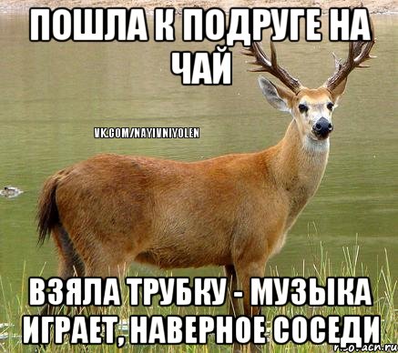 Пошла к подруге на чай взяла трубку - музыка играет, наверное соседи, Мем Олень