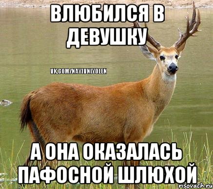 Влюбился в девушку а она оказалась пафосной шлюхой, Мем Олень