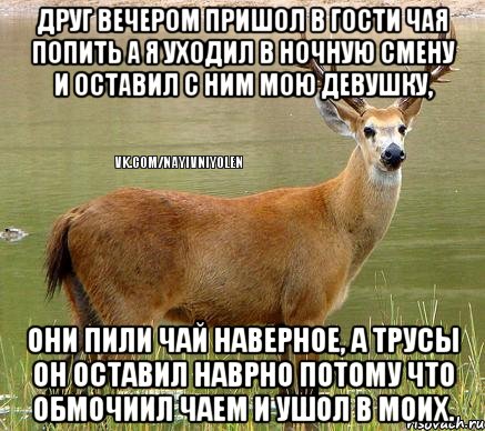Друг вечером пришол в гости чая попить а я уходил в ночную смену и оставил с ним мою девушку, Они пили чай наверное, а трусы он оставил наврно потому что обмочиил чаем и ушол в моих., Мем Олень