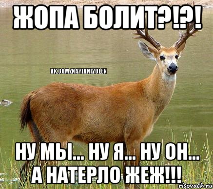 жопа болит?!?! ну мы... ну я... ну он... А натерло жеж!!!